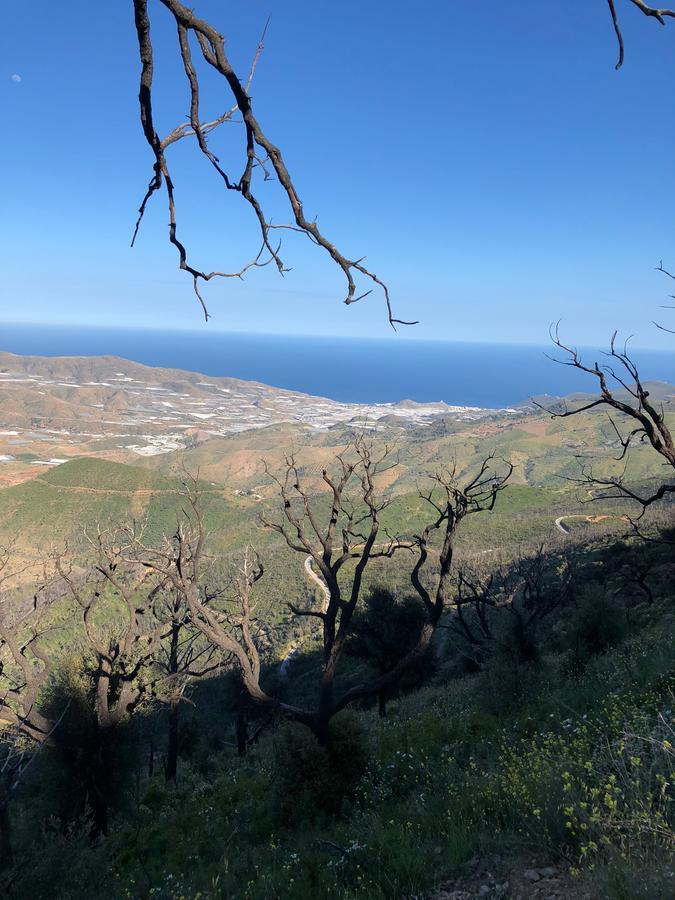 Cortijo Sancardo Affittacamere Lujar Esterno foto